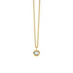 Lade das Bild in den Galerie-Viewer, Aquamarin an goldener Kette
