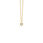 Lade das Bild in den Galerie-Viewer, Aquamarin an goldener Kette
