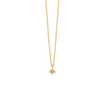 Lade das Bild in den Galerie-Viewer, goldene Kette mit Akoya Perle

