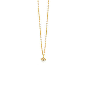goldene Kette mit Akoya Perle