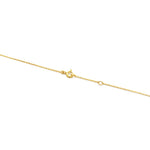 Lade das Bild in den Galerie-Viewer, goldene Kette mit roter Koralle
